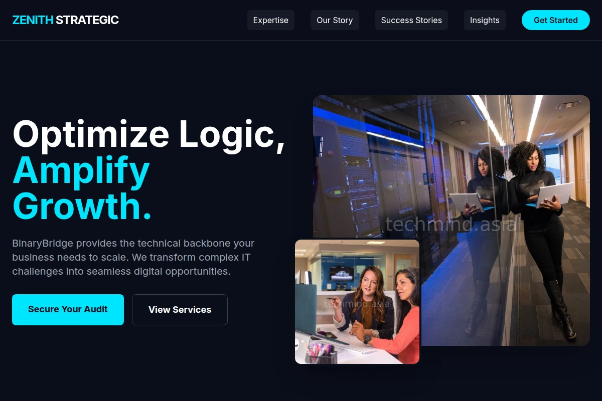 BinaryBridge It Consulting